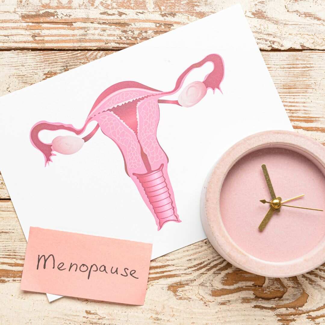 Menopause Diet
